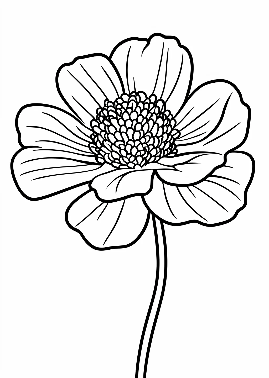 Mohnblume Ausmalbild – Ausmalbild Vorlage