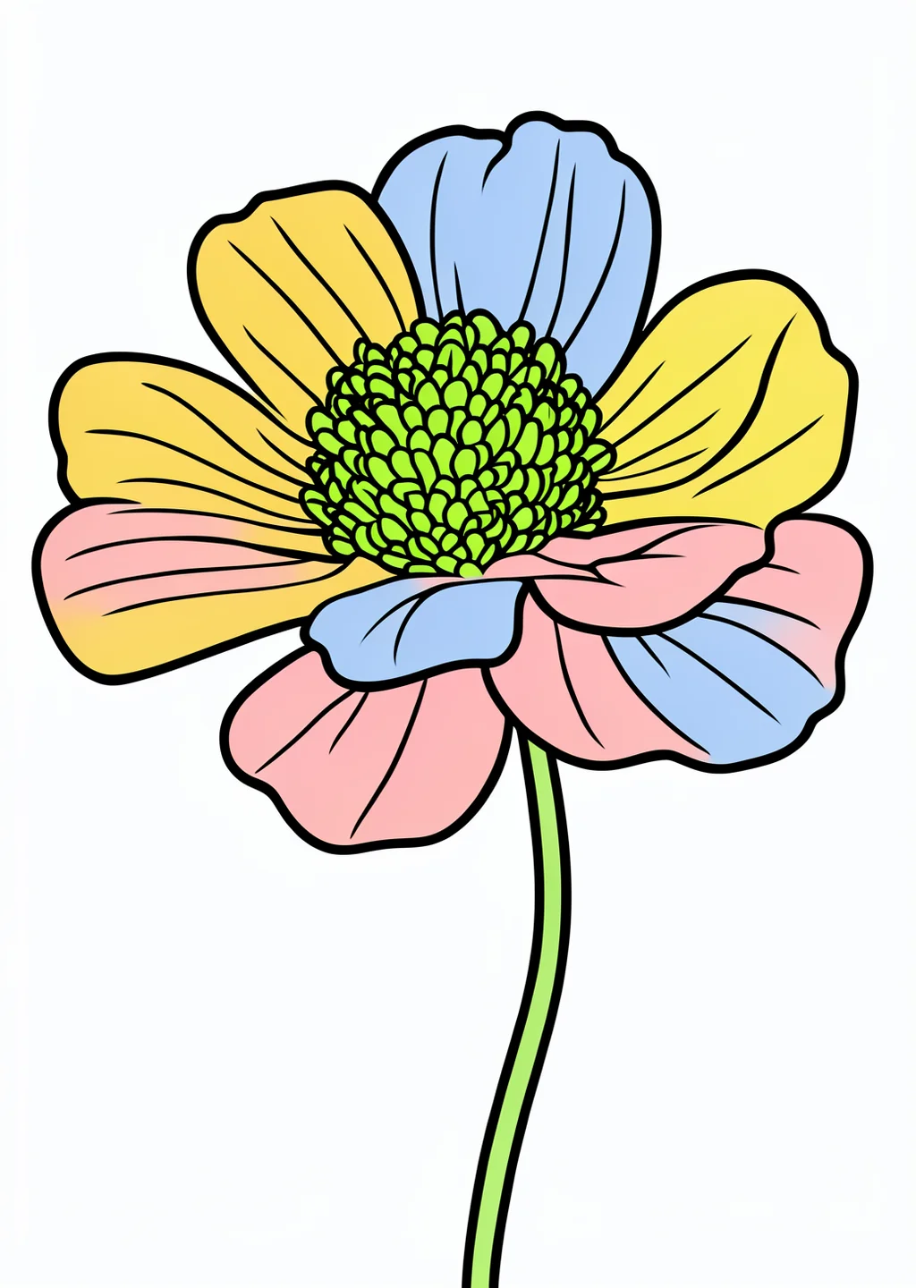 Mohnblume Ausmalbild – farbiges Beispiel